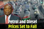 Petrol and Diesel Prices Set to Fall 2