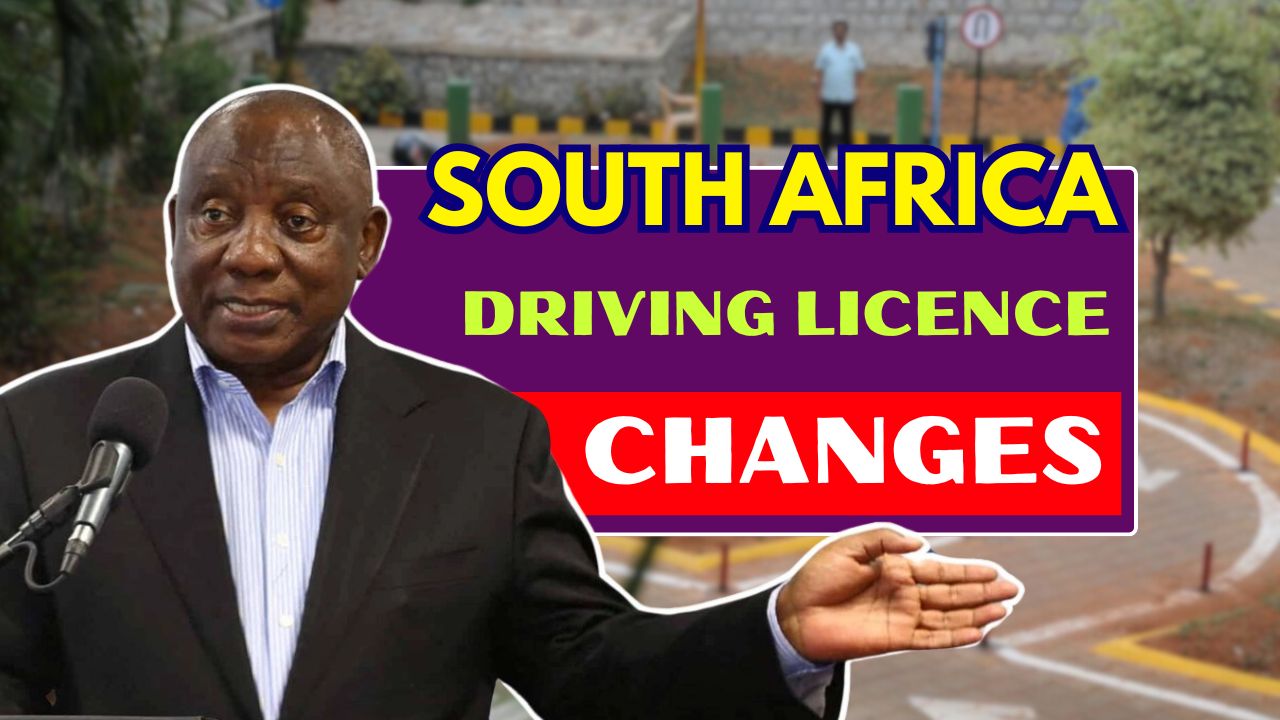 South Africa Driving Licence
